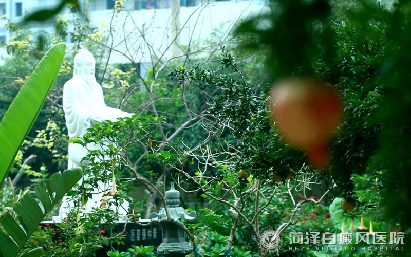 山(shān)東治療白癜風醫(yī)院